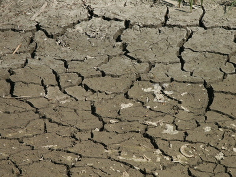 A close-up of some hard, cracked clay soil.