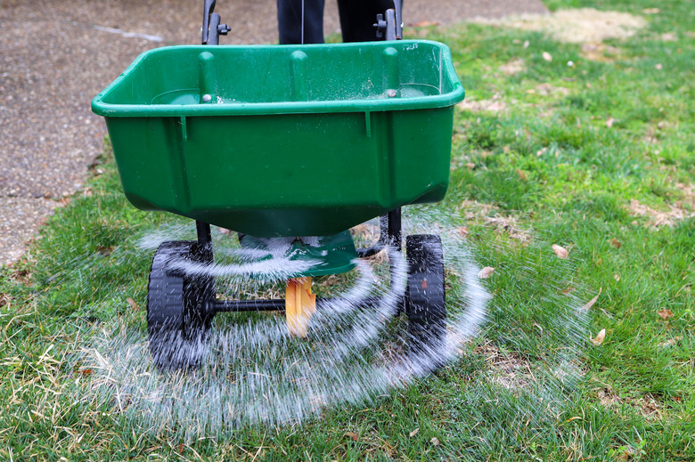 A seed and fertilizer spreader being used on a lawn.