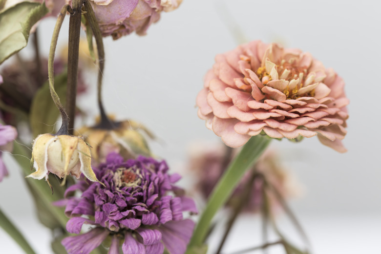 Beautiful withering flowers in an old bouquet.