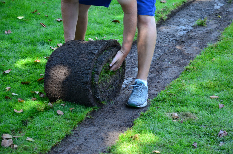 A man coils a green belt of sod into a ball.