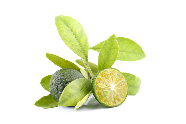 Group of green calamondin and leaf isolated on white background