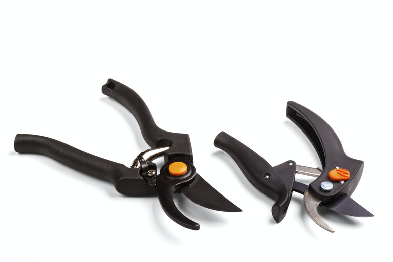 garden secateurs