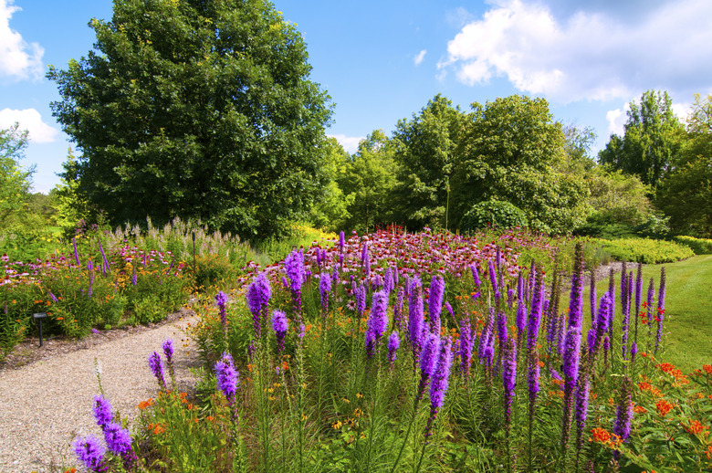 A delightful park full of various plants.