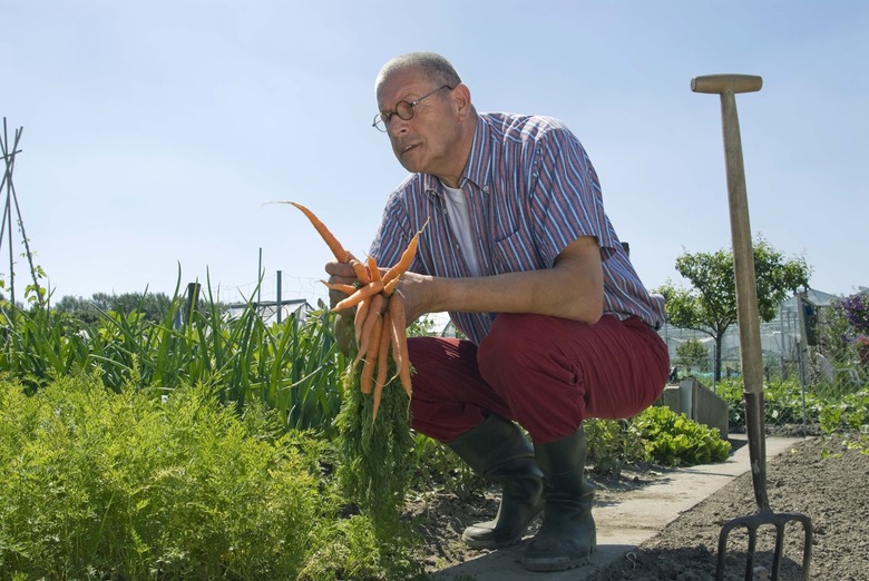 Man holding carrots