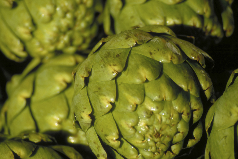 Artichokes