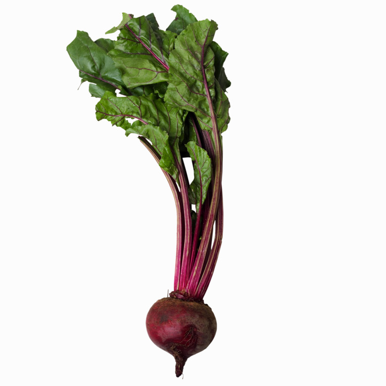 Close-up of beet