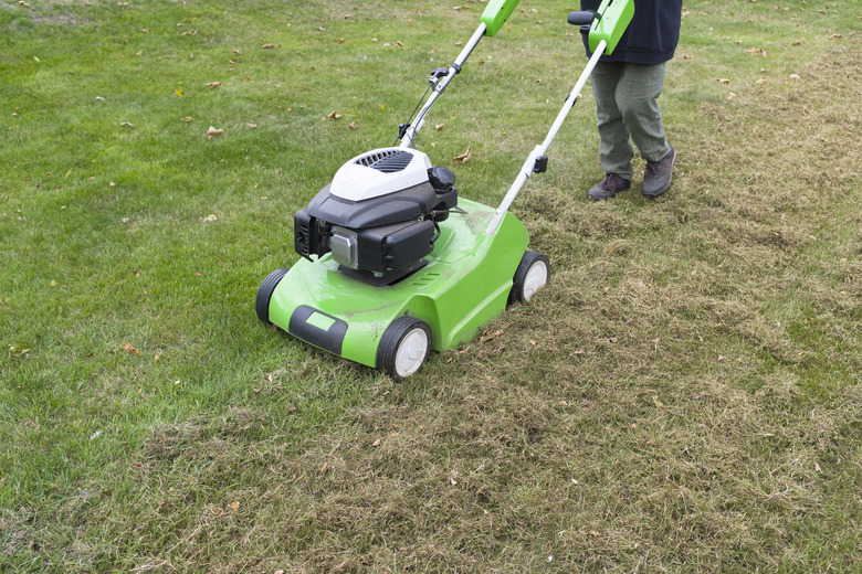 dethatching mower