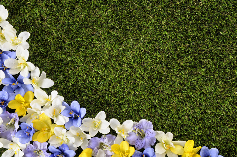 Spring or summer background