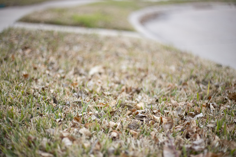 How To Clean Up Fall Leaves In The Yard