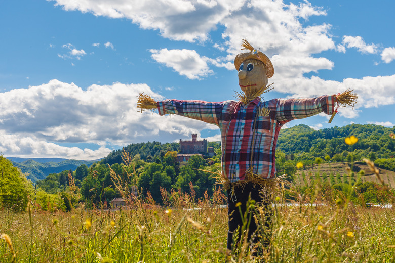 A scarecrow standing in a grassy field on a sunny day.