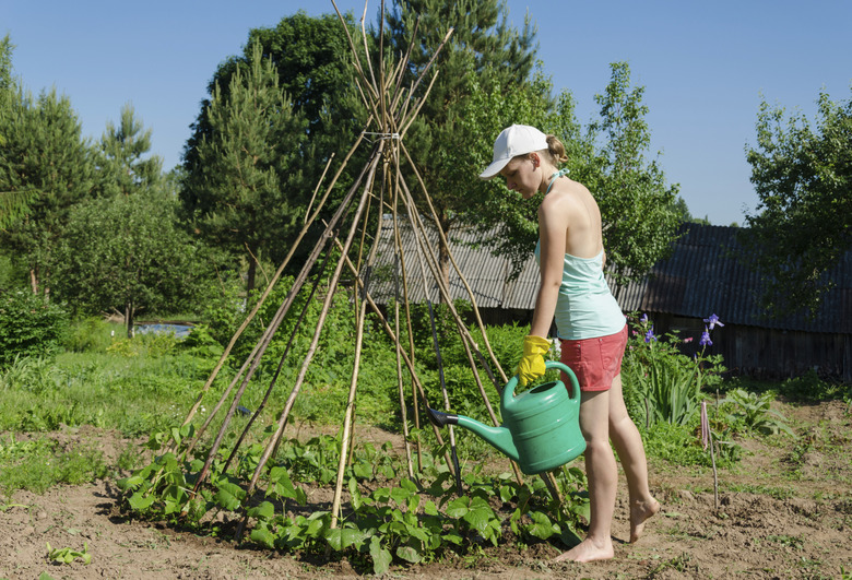 girl garden watering can stick tower  beans