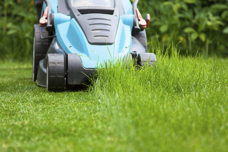 blue lawn mower on green grass  cut the grass