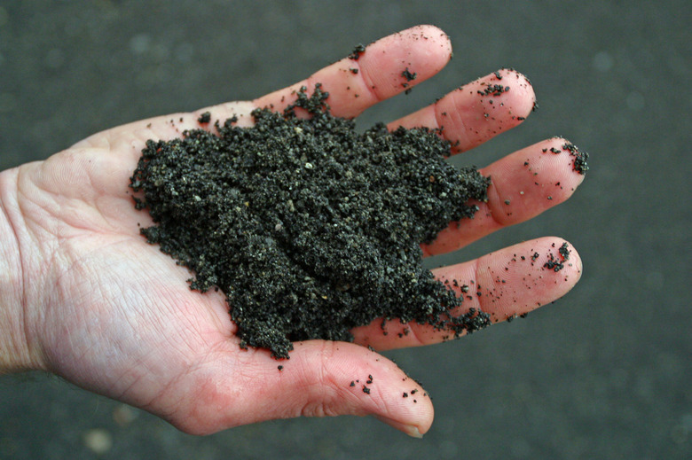 A hand holding black volcanic soil.