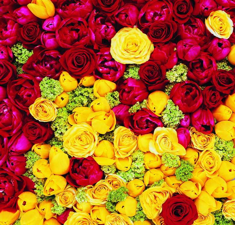 Full Frame of Flower Heads, Roses and Tulips