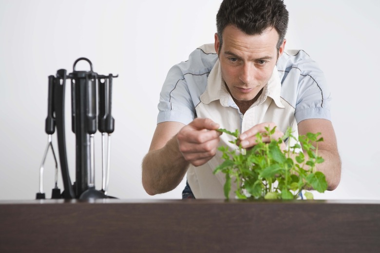 Man picking mint leaf in the kitchen