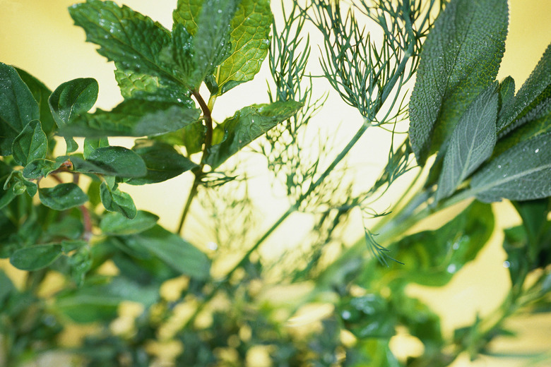 Assortment of herbs