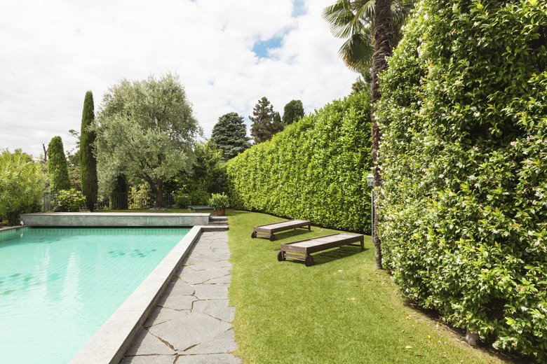 house with swimming pool