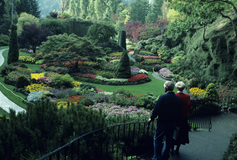 Senior couple walking in Butchart Gardens in Victoria, British Columbia, Canada, elevated view