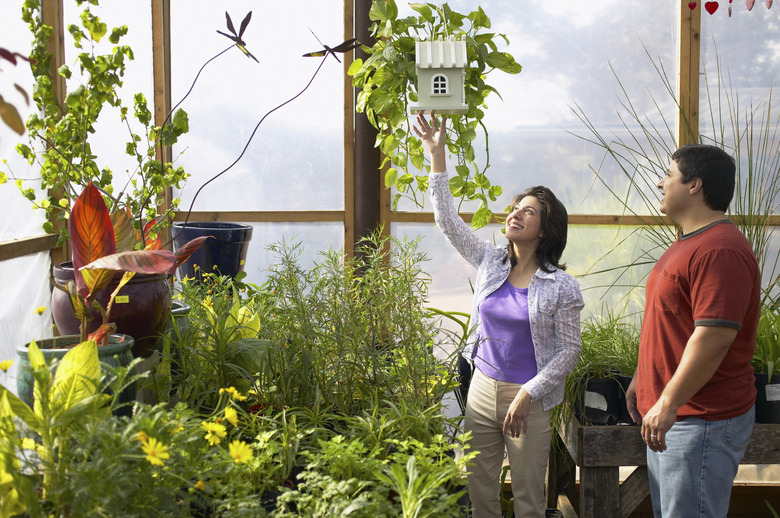 Man and woman in a greenhouse