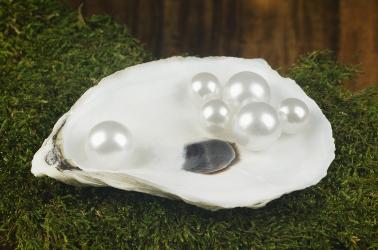 Oyster shell with pearls