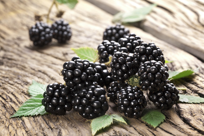 Blackberries