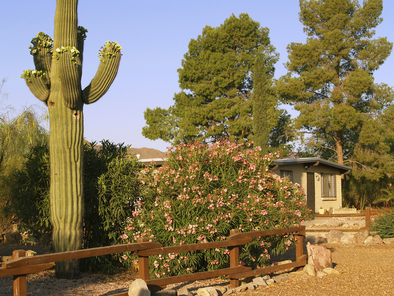 Tucson residence