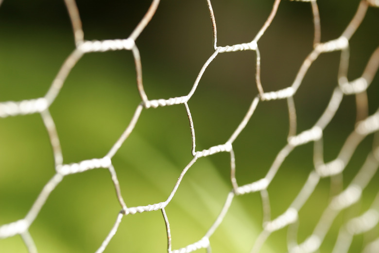 Chicken wire close up