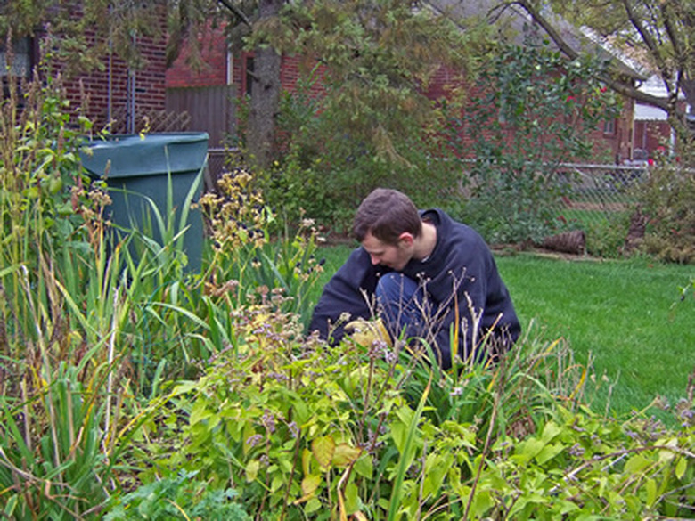 A gardener works in a yard to remove weeds.