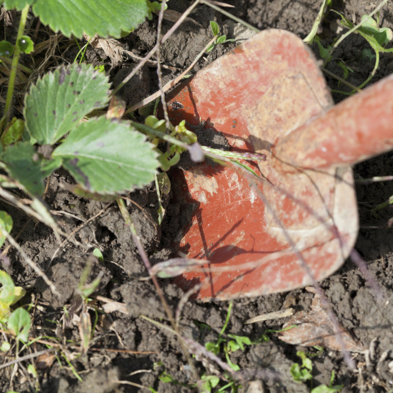 digging with trowel