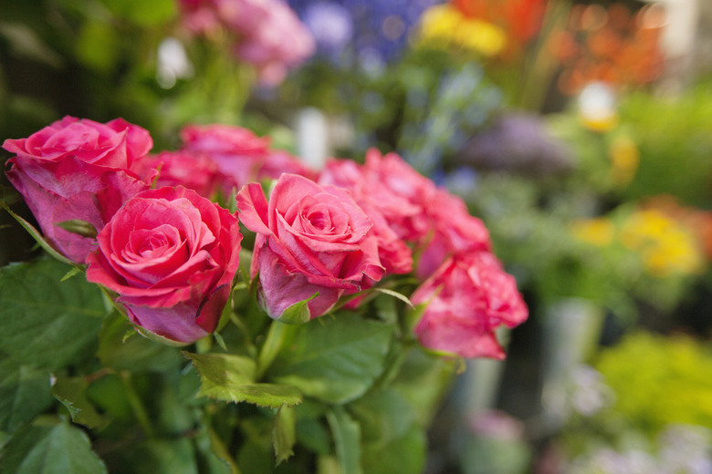 Bunch of fresh roses at flower shop