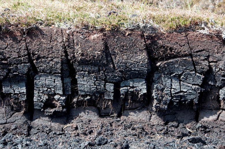 Side shot of mud layers under grass.