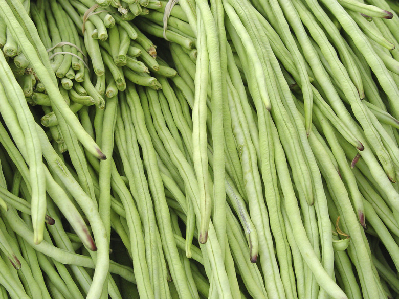 Food: Long Green Beans