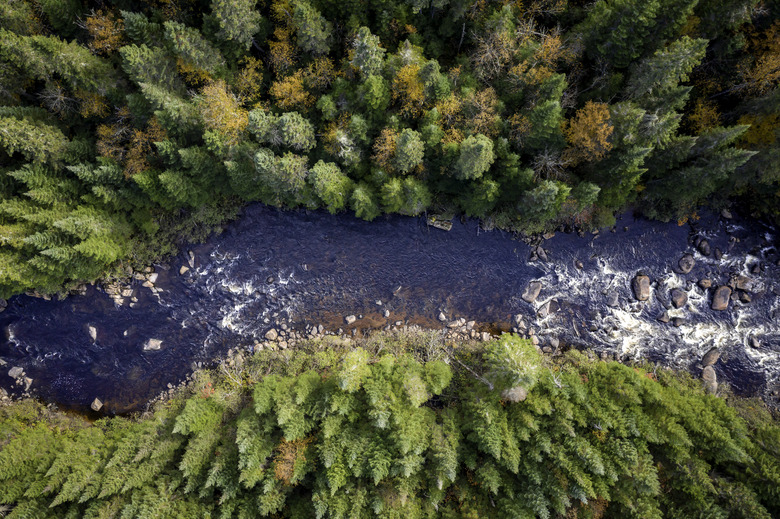 An aerial view of the boreal forest in autumn in Quebec, Canada.