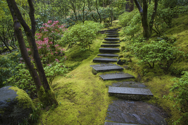 Stone stairway in a garden