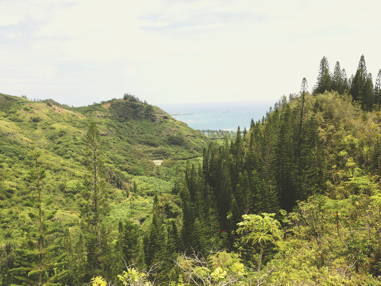 Green Valley Nature Landscape Ocean View