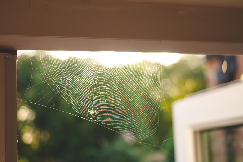 A cobweb in the corner of a door frame.