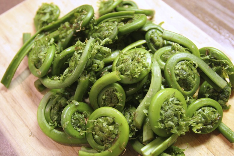 Fresh fiddlehead fern buds (tête de violons)