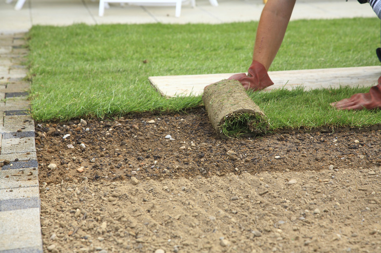 Laying sod for new lawn