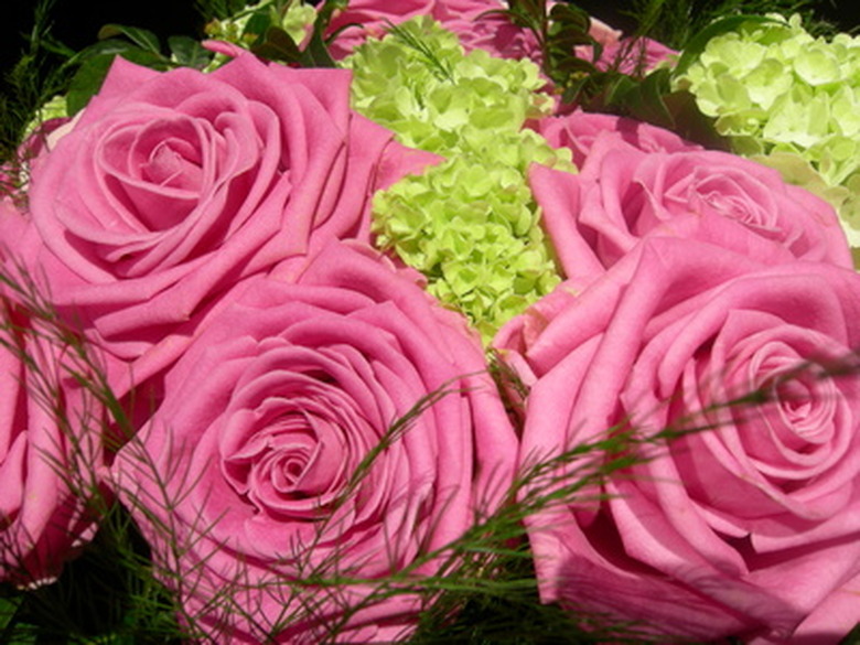 A bouquet of radiantly pink roses.