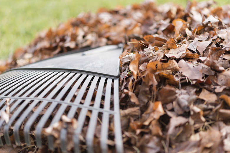 Fall Yard Clean-Up