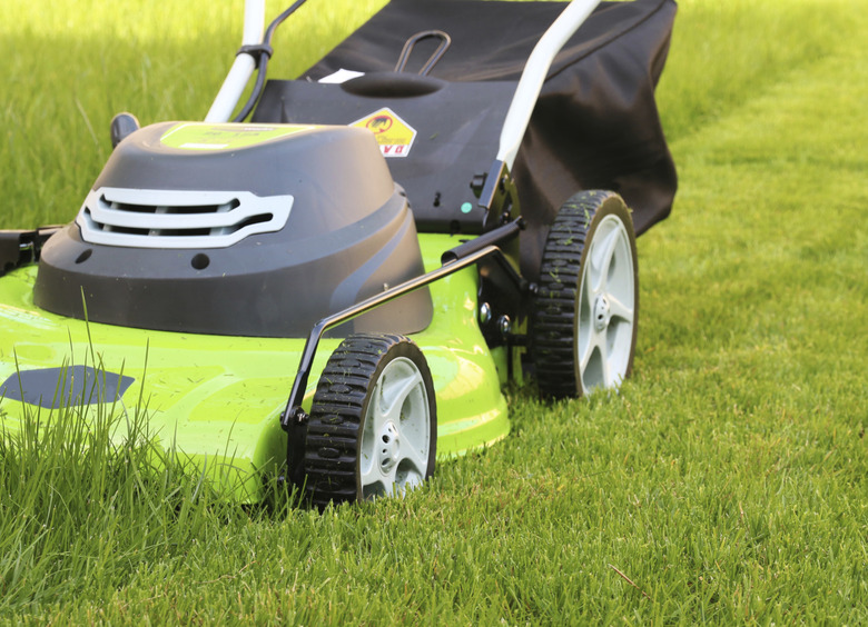 cutting the grass with lawn mower