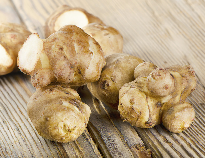 jerusalem artichoke