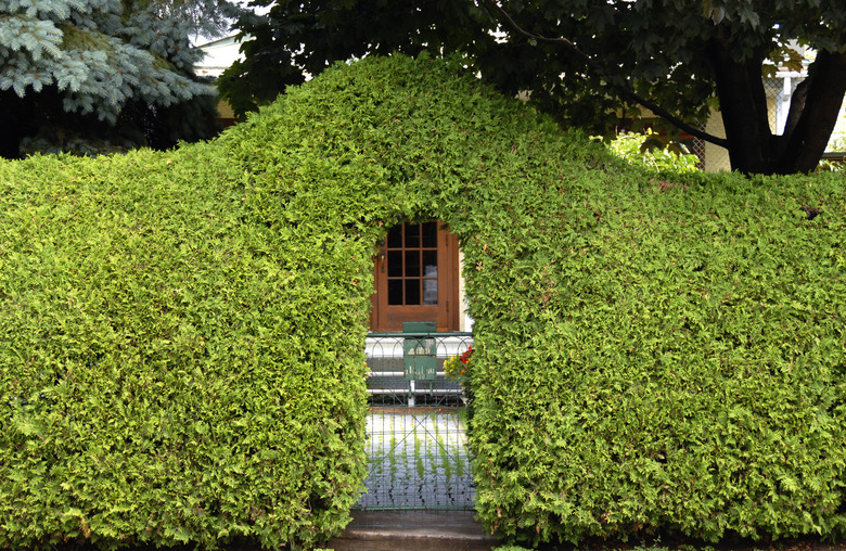 perfect hedge