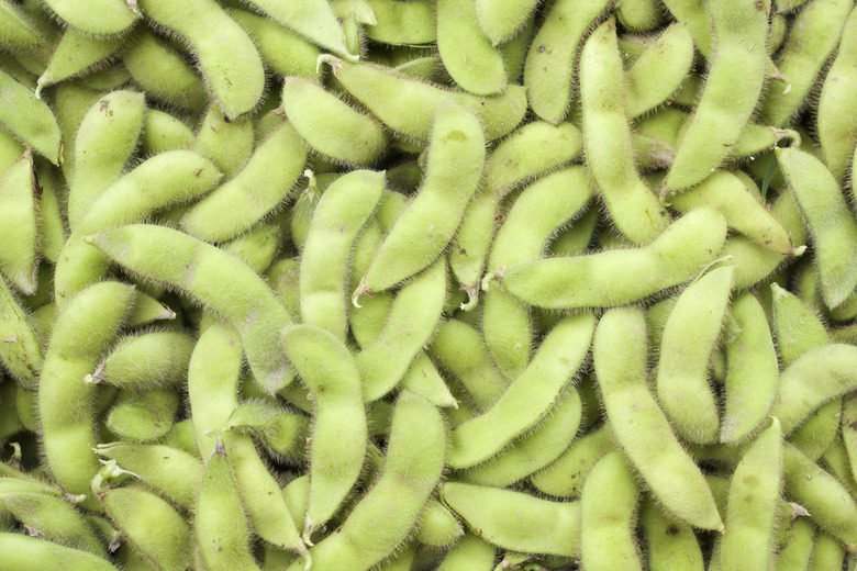 Soybeans (Edamame)