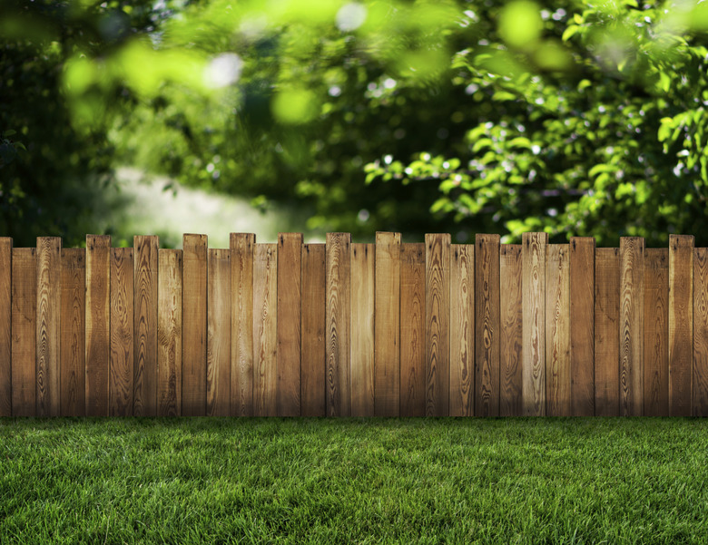 garden fence