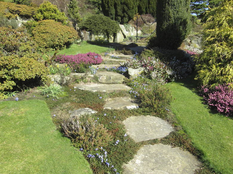 Photo of a pathway through a garden on a sunny day