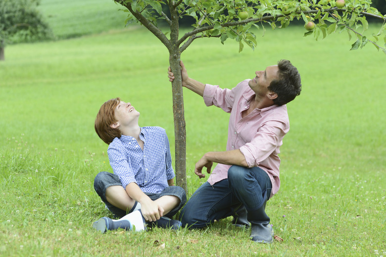 Man and boy holding tree in garden