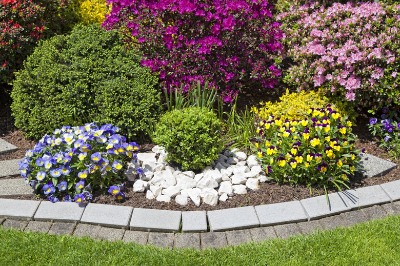 beautiful ornamental garden with blooming flowers