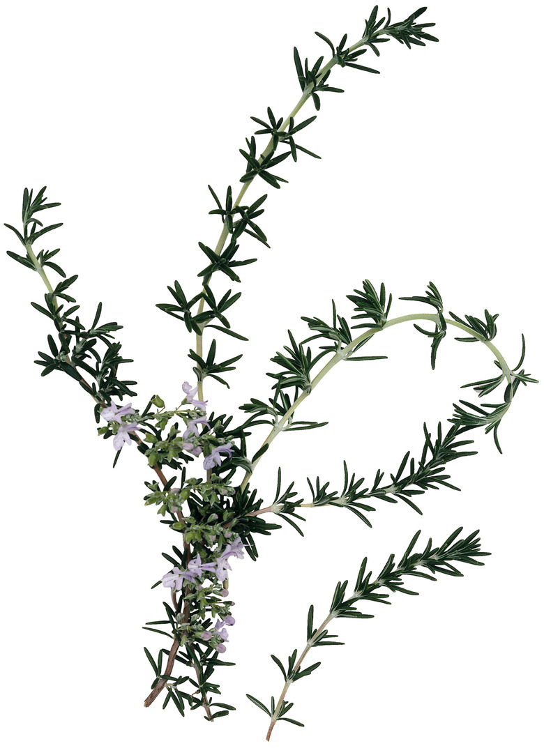 Sprigs of rosemary