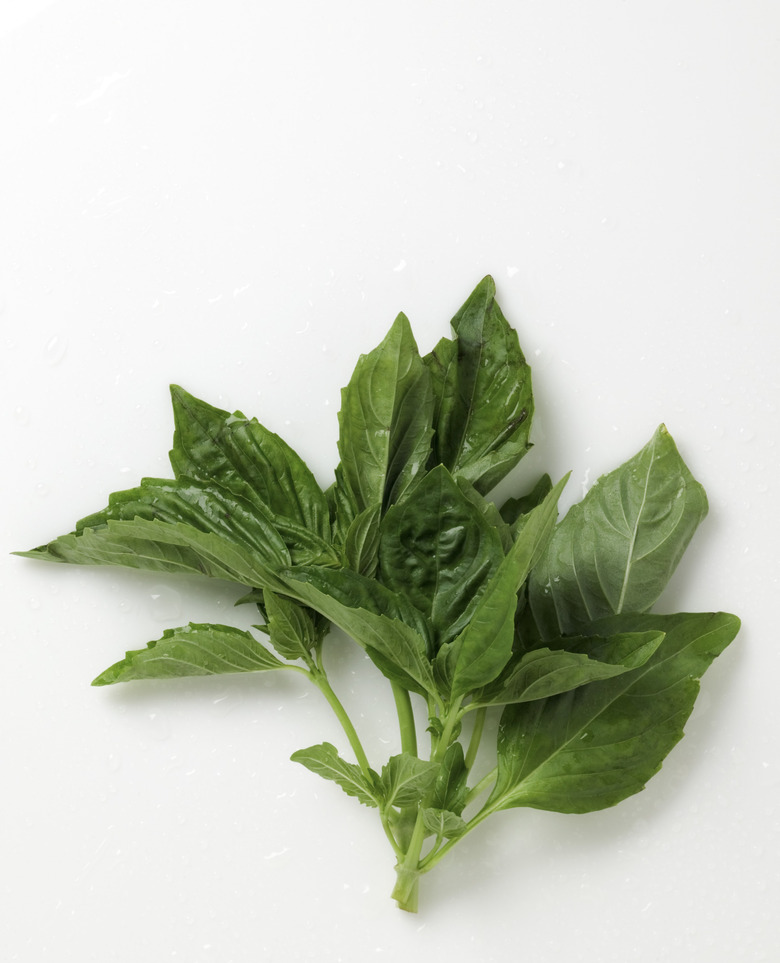 Sprig of basil